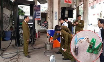 cayxang-xahoi.com.vn-1463537196