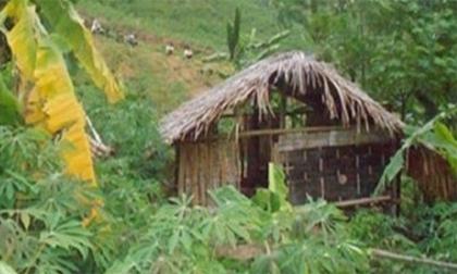 choihoang-xahoi.com.vn-1464830331