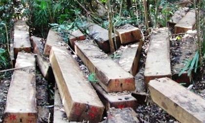 golau-xahoi.com.vn-1464917502