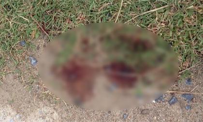 bichem-xahoi.com.vn-1466052915