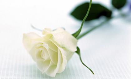 chunhat-xahoi.com.vn-1468115879 chunhat-xahoi.com.vn-1468115879