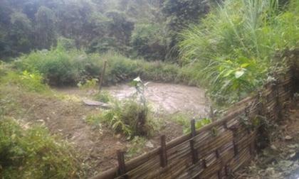 suoi-xahoi.com.vn-1470886222