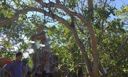 vuondieu-xahoi.com.vn-1470885810