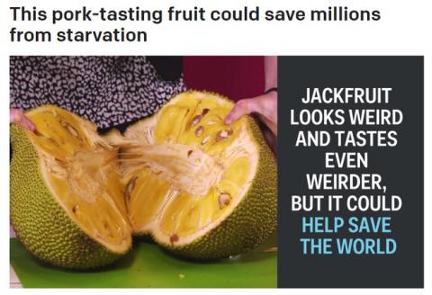 Báo Mỹ đưa tin về thứ hoa quả đặc sản ở Việt Nam có thể cứu đói cho hàng triệu người - Ảnh 1.