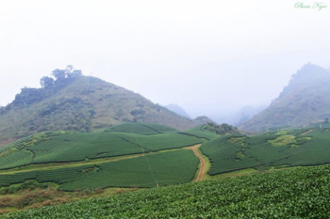 Mùa Thu ở cao nguyên Mộc Châu - 6