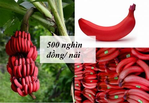 trái cây độc lạ 0