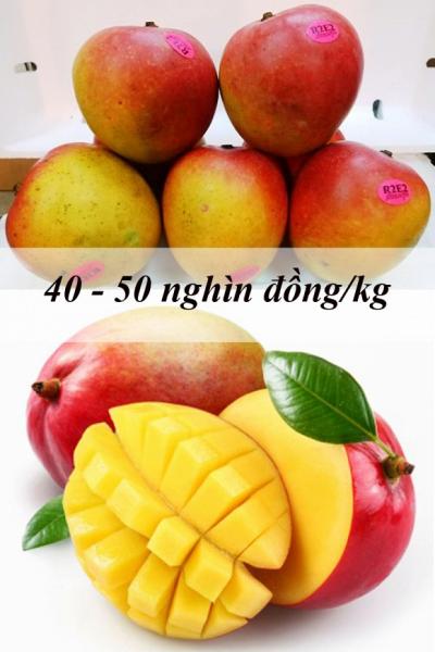 trái cây độc lạ 0