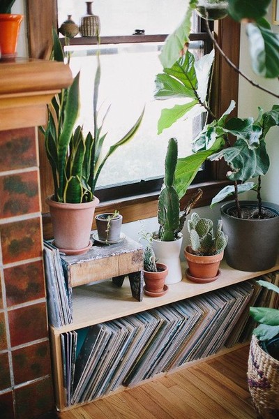 cửa sổ đẹp 17