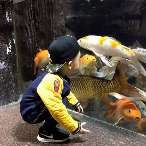 gia đình Ngọc Thạch đi du lịch Thượng Hải 1