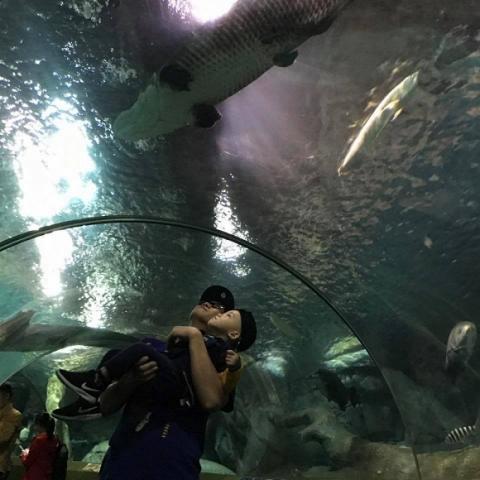 gia đình Ngọc Thạch đi du lịch Thượng Hải 2