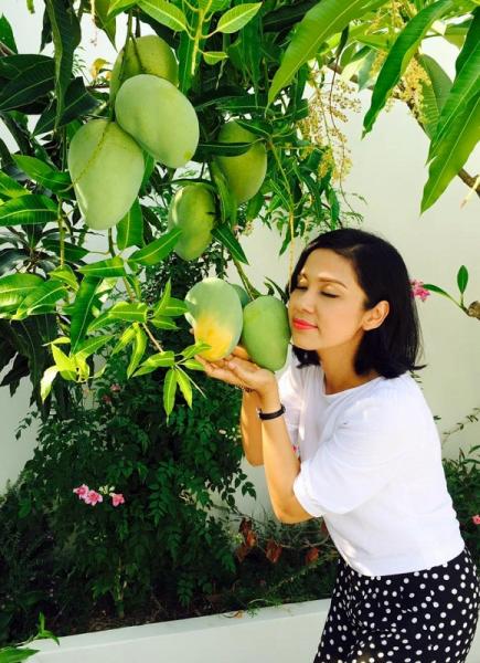 Việt Trinh trồng rau sạch 4 Việt Trinh trồng rau sạch 4