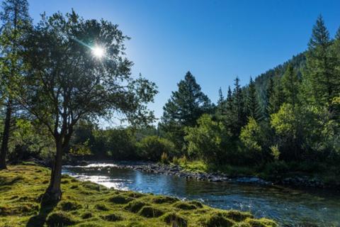 Bộ ảnh đẹp mê mẩn về đất nước Mông Cổ 3