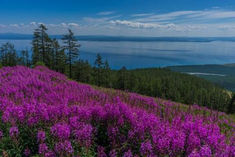 Bộ ảnh đẹp mê mẩn về đất nước Mông Cổ 4