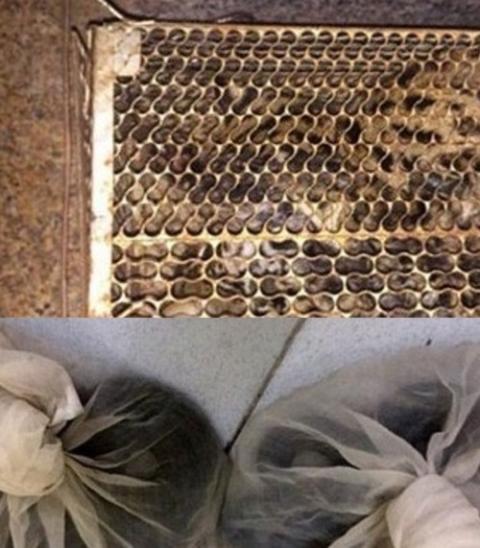 Tang vật của vụ án được cơ quan CSĐT thu giữ.