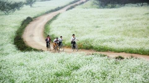 Điểm danh 5 địa điểm chụp ảnh ở miền Bắc khiến giới trẻ “phát sốt” 