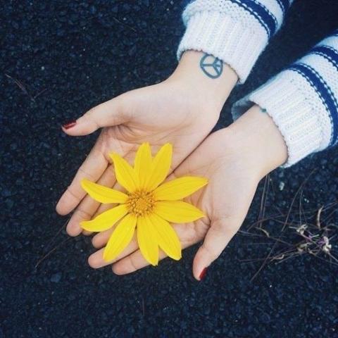 Điểm danh 5 địa điểm chụp ảnh ở miền Bắc khiến giới trẻ “phát sốt” 