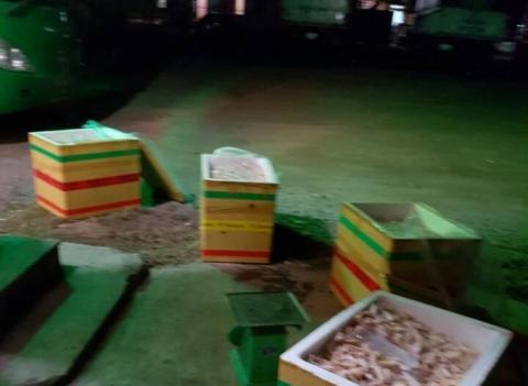 Gần 300kg ức gà bốc mùi hôi thối bị CSGT Diễn Châu bắt giữ.