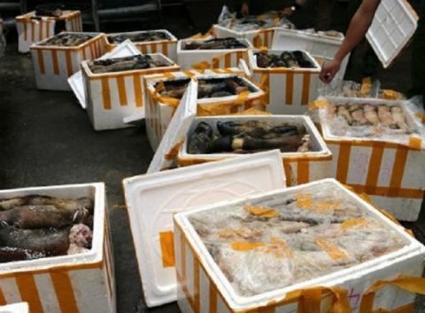 Hơn 1 tấn chân, đuôi trâu, bò bẩn đang trên đường vào Đà Nẵng tiêu thụ.