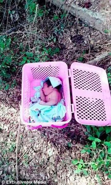 ve bu bam cua be so sinh thai bi me bo roi sau 6 thang khien ai cung mung - 1