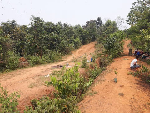 vu co giao tuong lai nghi bi hiep, giet: tieng thet tuyet vong giua rung - 2