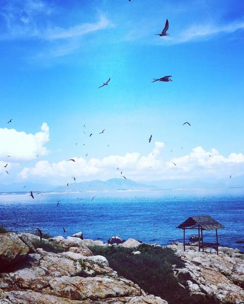 3 con đường đi bộ xuyên biển tuyệt đẹp ở Việt Nam - Ảnh 8.