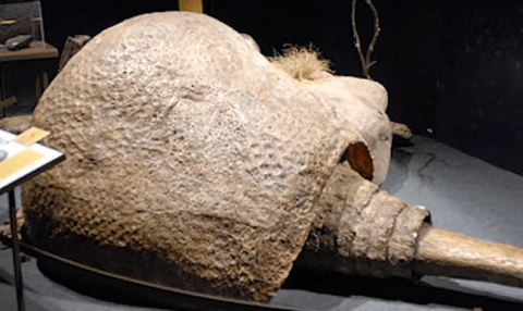 Phát hiện vật thể lạ kỳ quái bên bờ sông, người đàn ông rùng mình khi biết chân tướng - Ảnh 4.