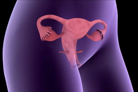 Tất tần tật vấn đề sức khỏe của bạn sẽ biểu hiện trong kỳ đèn đỏ - 7