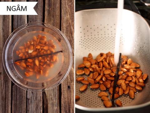 Mách bạn bí quyết làm sữa tươi từ hạt ngon - bổ - sạch - 2