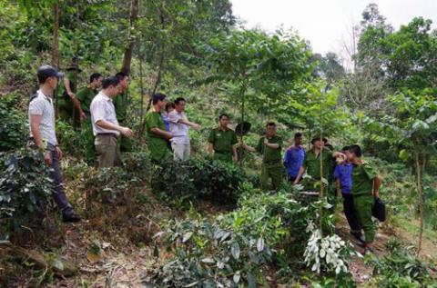 loi khai nghi pham vu thi the phu nu bi troi, vay lat nguoc hinh anh 3