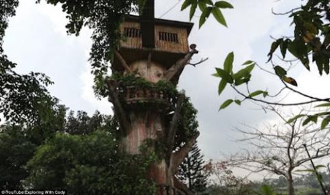 Vẻ đẹp ma mị bên trong công viên bỏ hoang ở Philippines - 9