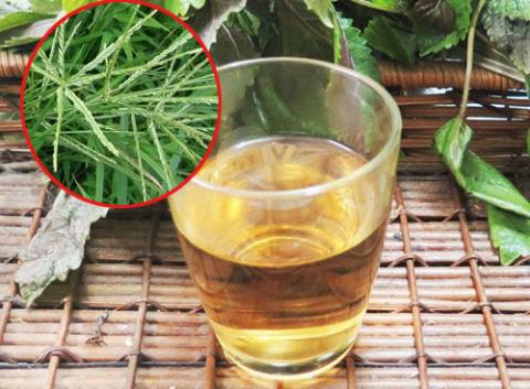 khong mat mot dong tien thuoc ma con khoi benh nho bai thuoc dan gian tu... co dai - 3