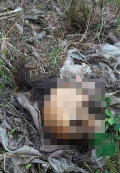 Giết người tình, dùng xe máy chở từ TP HCM về Bà Rịa-Vũng Tàu phi tang - 1