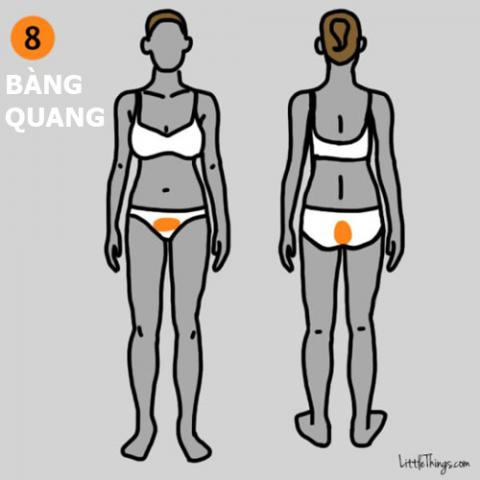 9 vi tri dau tren co the canh bao benh nguy hiem - 8