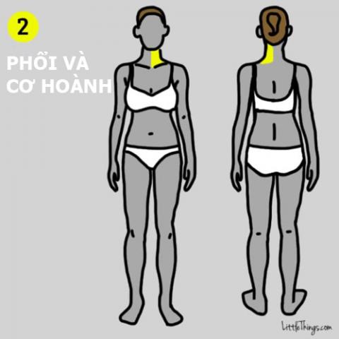 9 vi tri dau tren co the canh bao benh nguy hiem - 2