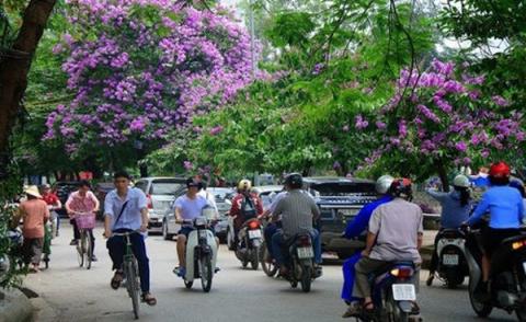 20170524223838-mat-xahoi.com.vn-w600-h368