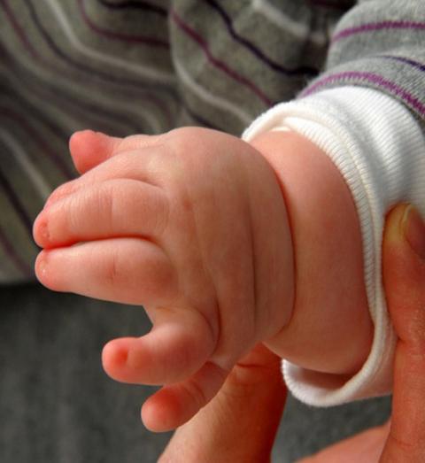 xem tay doan tinh trang suc khoe va tinh cach cua tre chinh xac den 90% - 1