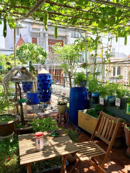 phuc lan ong bo 8x voi tai trong rau nuoi ga ca phu kin san thuong 80m² - 2