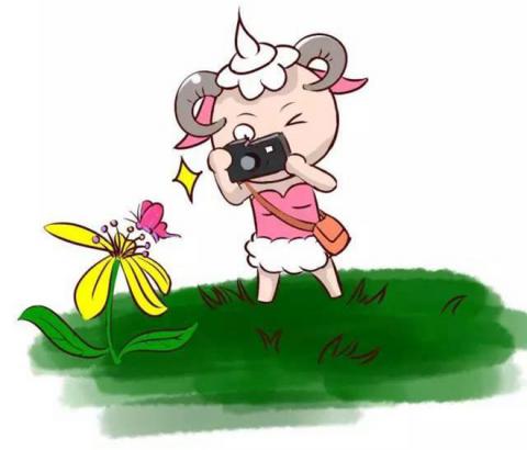 sau ton thuong, 12 cung hoang dao se lam gi de 