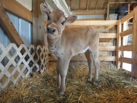 “Cạn lời” với tên tội phạm biến thái có sở thích 