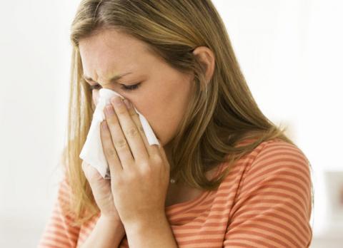 10 lợi ích tuyệt vời của húng quế - 7