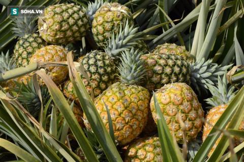 Ăn mặn hại thận, 7 thực phẩm giúp giảm tác hại của muối với cơ thể - Ảnh 1. Ăn mặn hại thận, 7 thực phẩm giúp giảm tác hại của muối với cơ thể - Ảnh 1.