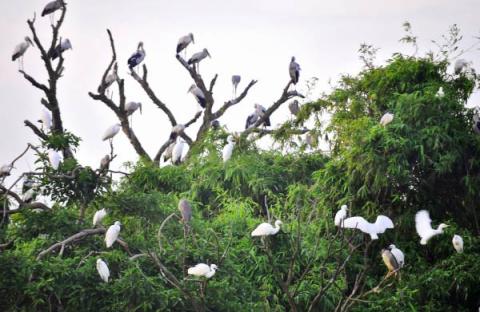 8.dia-diem-du-lich-quoc-khanh-tai-hai-duong-2-phunutoday.vn