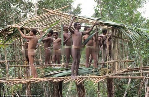 Sức sống phi thường của bộ lạc sống trong những ngôi nhà trên cây cao tới 50m, tách biệt với loài người - Ảnh 2.