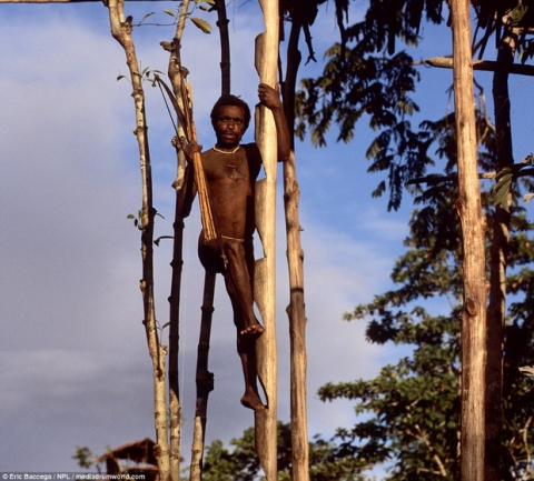 Sức sống phi thường của bộ lạc sống trong những ngôi nhà trên cây cao tới 50m, tách biệt với loài người - Ảnh 5.