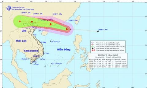 du bao thoi tiet hom nay (23.8): tin moi nhat ve con bao tren bien dong - con bao so 6 hinh anh 1