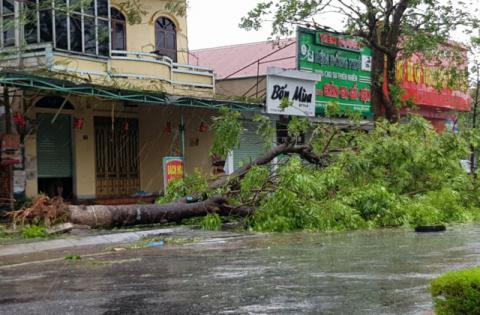 canh tuong tan hoang tai cac tinh co bao so 10 do bo - 1