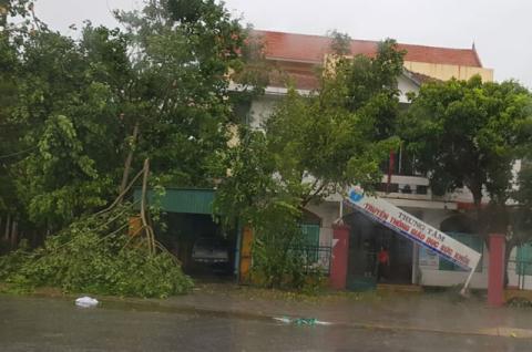 canh tuong tan hoang tai cac tinh co bao so 10 do bo - 2