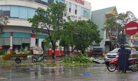 canh tuong tan hoang tai cac tinh co bao so 10 do bo - 3