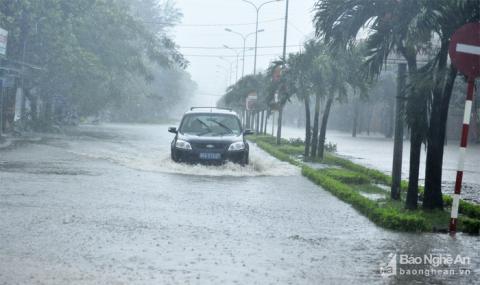canh tuong tan hoang tai cac tinh co bao so 10 do bo - 11