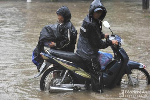 canh tuong tan hoang tai cac tinh co bao so 10 do bo - 12